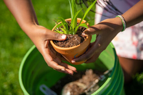 student pats down soil in a pot with a green plant in it
