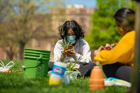 student in mask sits on Quad and plants a plant in a pot