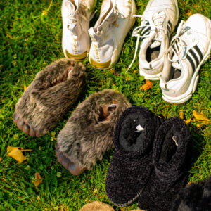 Three rows of sneakers, slippers, and boots on the grass