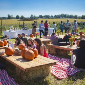 Small groups of students sit on red and white checkered blankets on the ground around picnic tables with pumpkins and vases of flowers on them at LaFarm